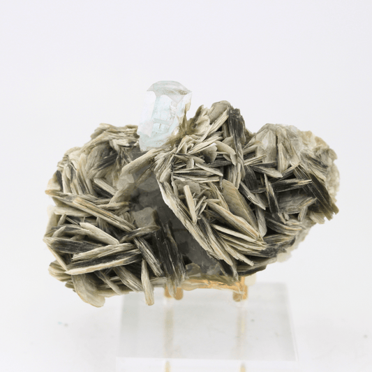 Aquamarine Naturally Terminated Himalayas 177g