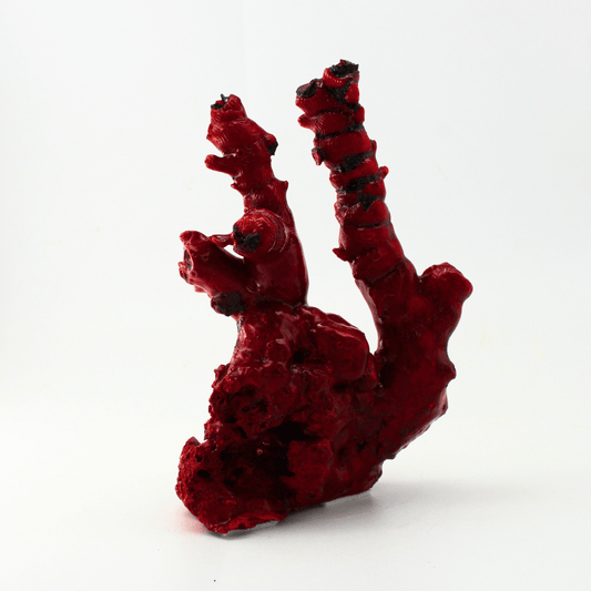 Coral Colour Changing Deepsea 388 Natural Mineral Specimen Fine Collectable Cabinet Display Piece Geological Interest