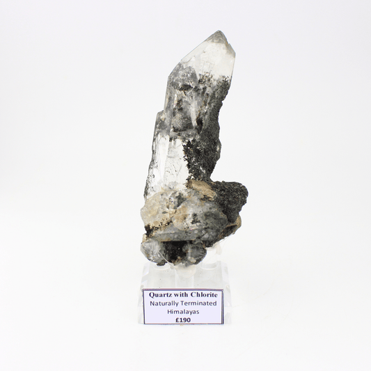 Quartz With Chlorite Naturally Terminated Himalayas 324 Natural Mineral Specimen Fine Collectable Cabinet Display Piece Geological Interest