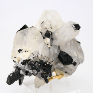 Quartz x Tourmaline Naturally Terminated Himalayas 385 Natural Mineral Specimen Fine Collectable Cabinet Display Piece Geological Interest