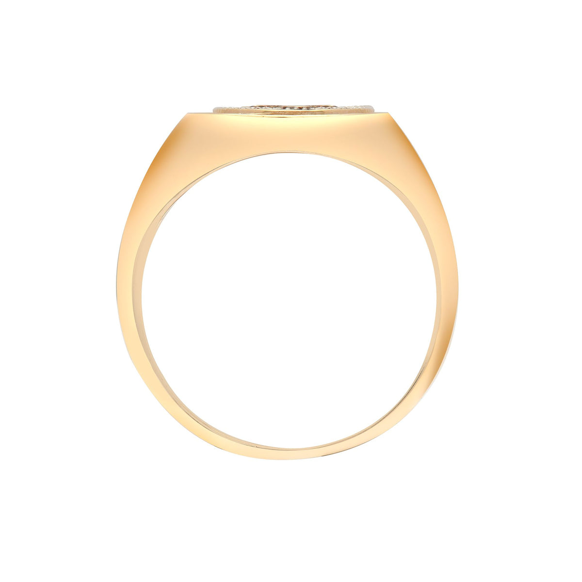 9ct Yellow Gold Natural Diamond Ring (9R378) – product view