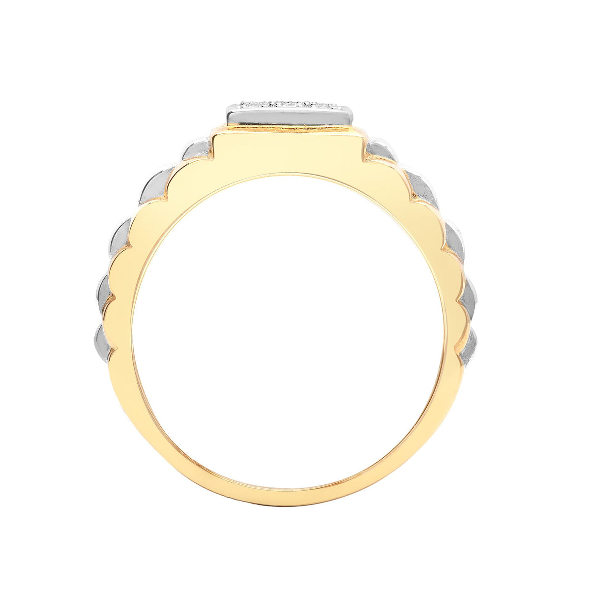 9ct Yellow Gold Natural Diamond Ring (9R384) – product view