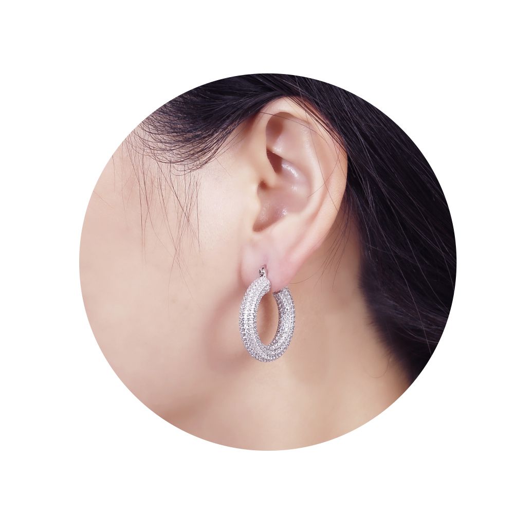 925 Silver Cubic Zirconia Set Hoop Earrings (AER147) – product view