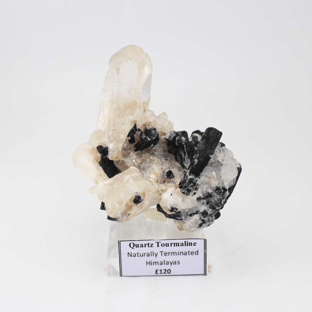 Quartz Tourmaline Naturally Terminated Himalayas 268g