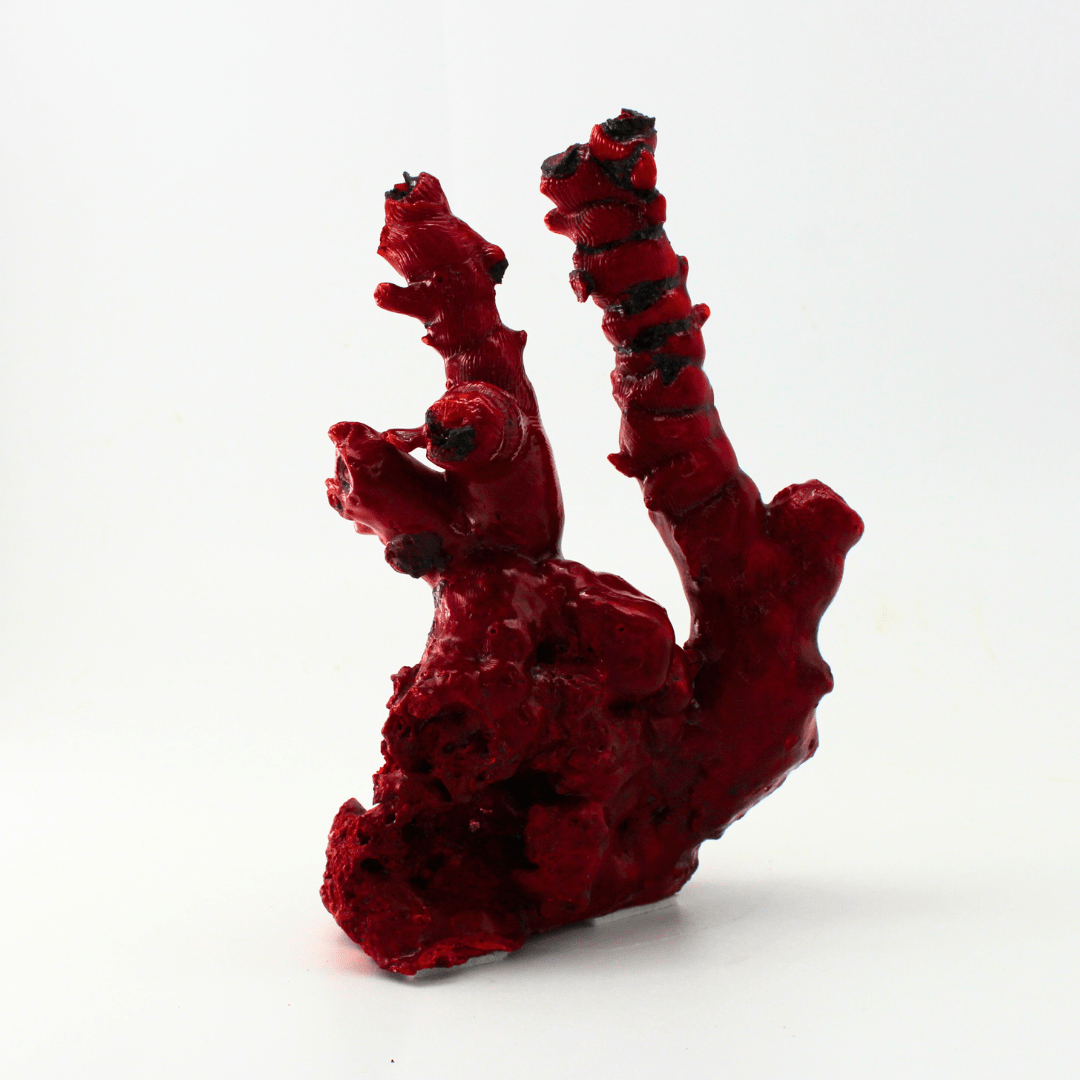 Coral Colour Changing Deepsea 388 Natural Mineral Specimen Fine Collectable Cabinet Display Piece Geological Interest