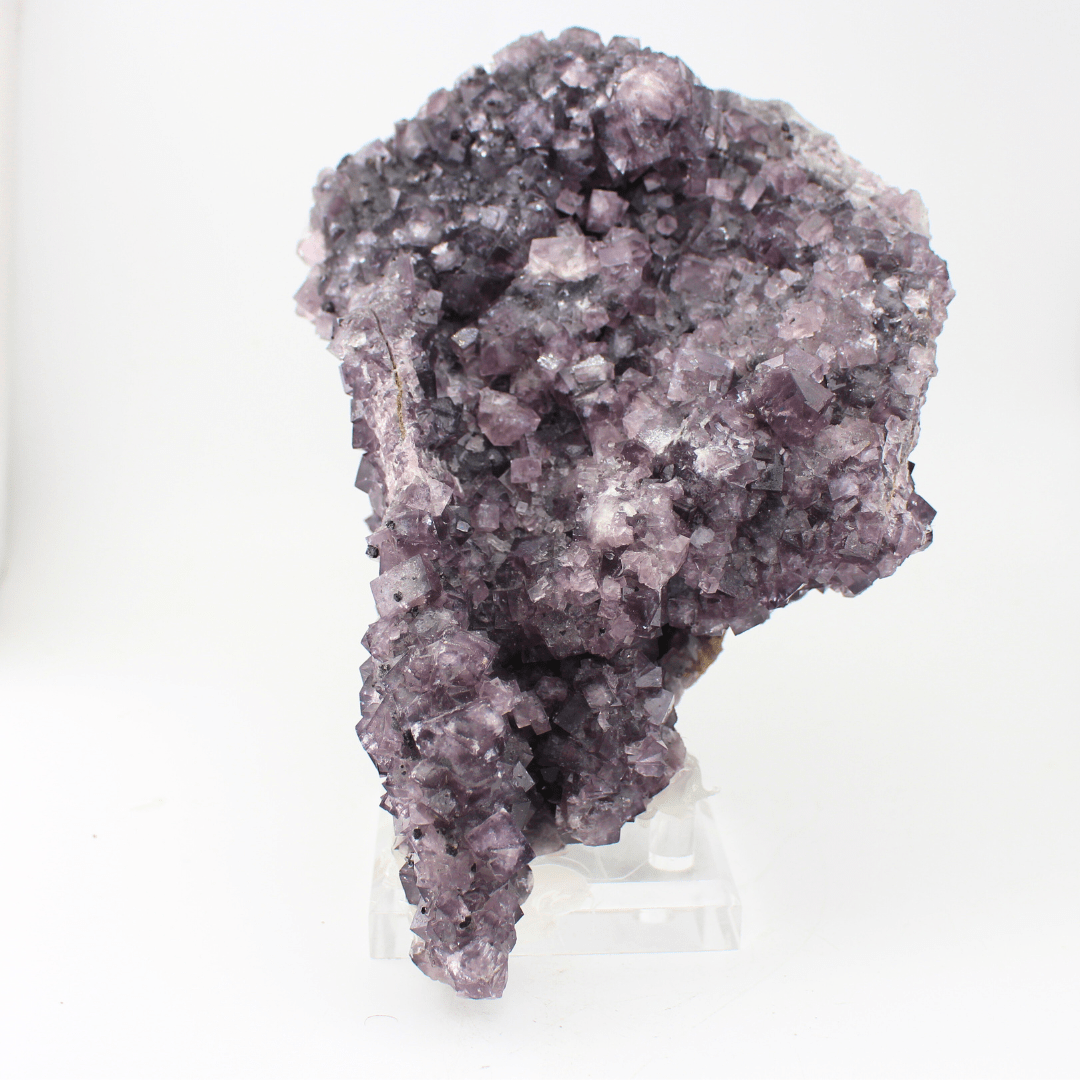 Flourite Africa Shaped Nortumbria 2471g