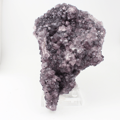 Fluorite a forma d'Africa, Nortumbria 2471, campione minerale naturale, pregiato pezzo da collezione per vetrina, interesse geologico