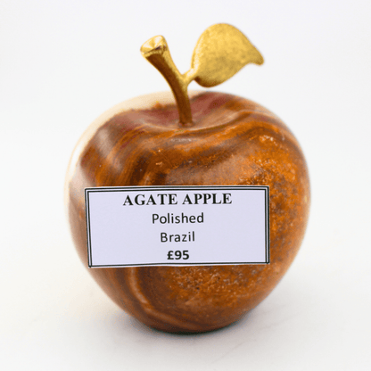 Achat Apfel poliert Brasilien 584 Natürliches Mineralienexponat Feines Sammlerstück Vitrinenstück Geologisches Interesse