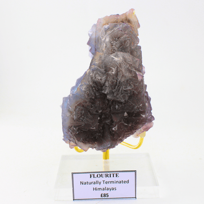 Flourit natürlich terminiert Himalaya 518 natürliches Mineralien-Exemplar feines Sammlerstück Vitrinenobjekt geologisches Interesse
