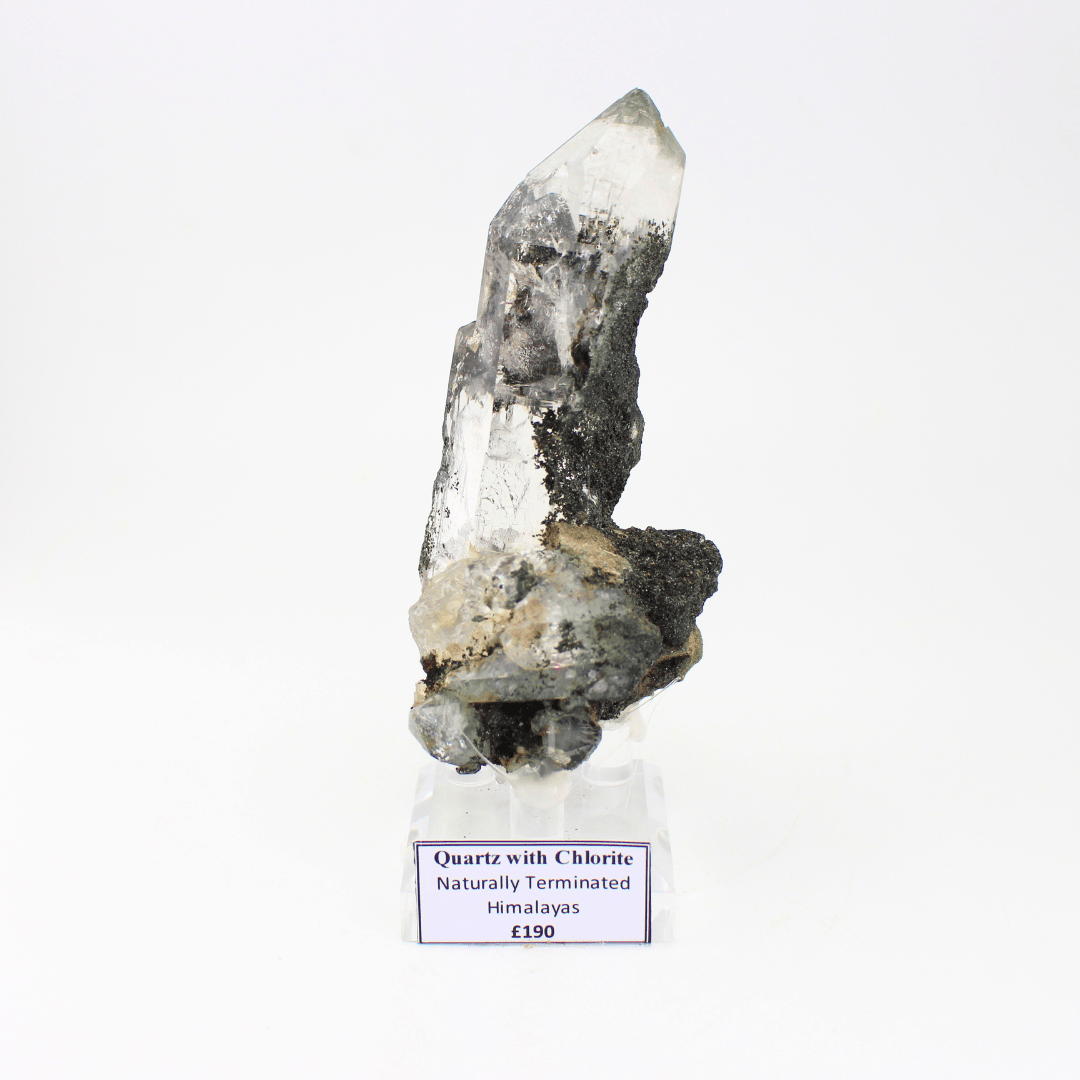 Quartz With Chlorite Naturally Terminated Himalayas 324 Natural Mineral Specimen Fine Collectable Cabinet Display Piece Geological Interest