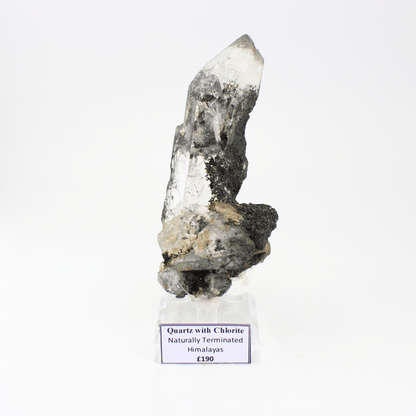 Quarz mit Chlorit, natürlich terminiert, Himalaya, 324, natürliches Mineralienmuster, feines Sammlerstück für Vitrine, geologisches Interesse
