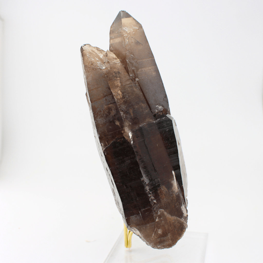 Smokey Quartz Rehealed Fracture Gastein Austria 1153 Natural Mineral Specimen Fine Collectable Cabinet Display Piece Geological Interest