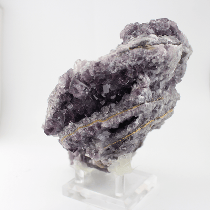 Fluorite a forma d'Africa, Nortumbria 2471, campione minerale naturale, pregiato pezzo da collezione per vetrina, interesse geologico