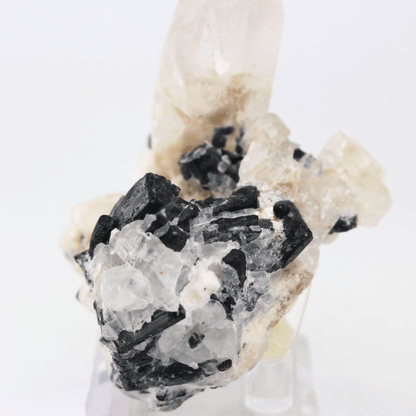 Quarz Turmalin Natürlich Terminiert Himalaya 268 Natürliches Mineralienexemplar Feines Sammlerstück Vitrinenobjekt Geologisches Interesse