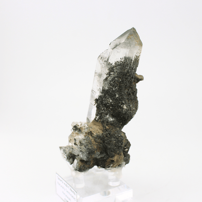 Quarz mit Chlorit, natürlich terminiert, Himalaya, 324, natürliches Mineralienmuster, feines Sammlerstück für Vitrine, geologisches Interesse