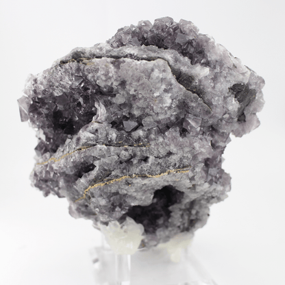 Fluorite a forma d'Africa, Nortumbria 2471, campione minerale naturale, pregiato pezzo da collezione per vetrina, interesse geologico