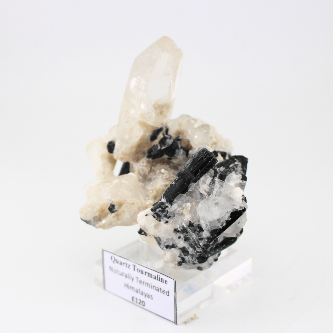 Quartz Tourmaline Naturally Terminated Himalayas 268 Natural Mineral Specimen Fine Collectable Cabinet Display Piece Geological Interest