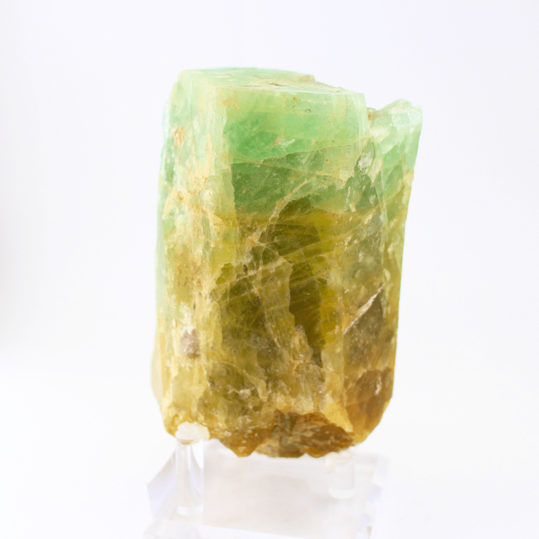 Aquamarine Naturally Terminated Himalayas 1590 Natural Mineral Specimen Fine Collectable Cabinet Display Piece Geological Interest