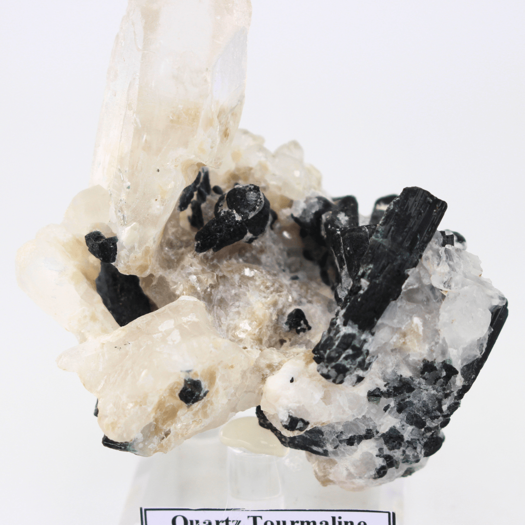 Quartz Tourmaline Naturally Terminated Himalayas 268 Natural Mineral Specimen Fine Collectable Cabinet Display Piece Geological Interest