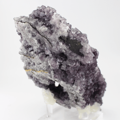 Fluorite a forma d'Africa, Nortumbria 2471, campione minerale naturale, pregiato pezzo da collezione per vetrina, interesse geologico