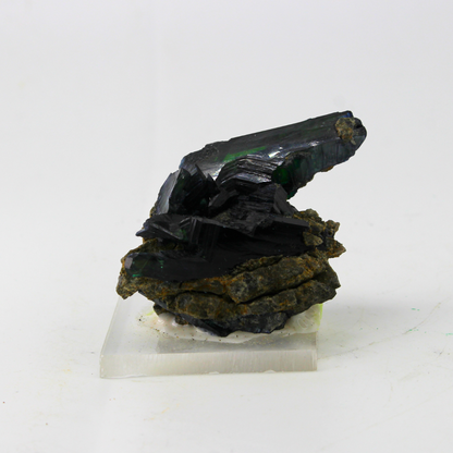 Vivianite Minerios Brasile Naturalmente Terminata 45 Campione Minerale Naturale Ottimo Pezzo da Collezione per Vetrina da Esposizione Interesse Geologico