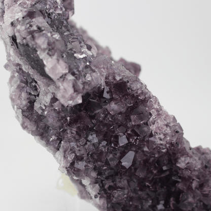 Fluorite a forma d'Africa, Nortumbria 2471, campione minerale naturale, pregiato pezzo da collezione per vetrina, interesse geologico