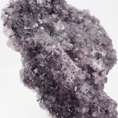 Fluorite a forma d'Africa, Nortumbria 2471, campione minerale naturale, pregiato pezzo da collezione per vetrina, interesse geologico