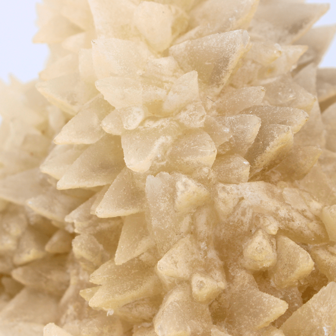 Dog Tooth Calcite Naturally Terminated Himalayas 3176g