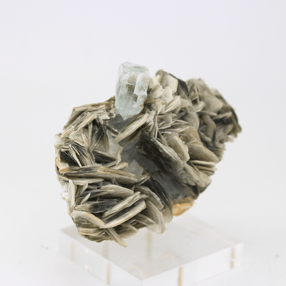 Aquamarine Naturally Terminated Himalayas 177g