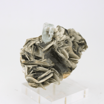 Aquamarin Naturkristall Himalaya 177 Natürliches Mineralien-Exemplar Feines Sammlerstück Vitrinenstück Geologisches Interesse