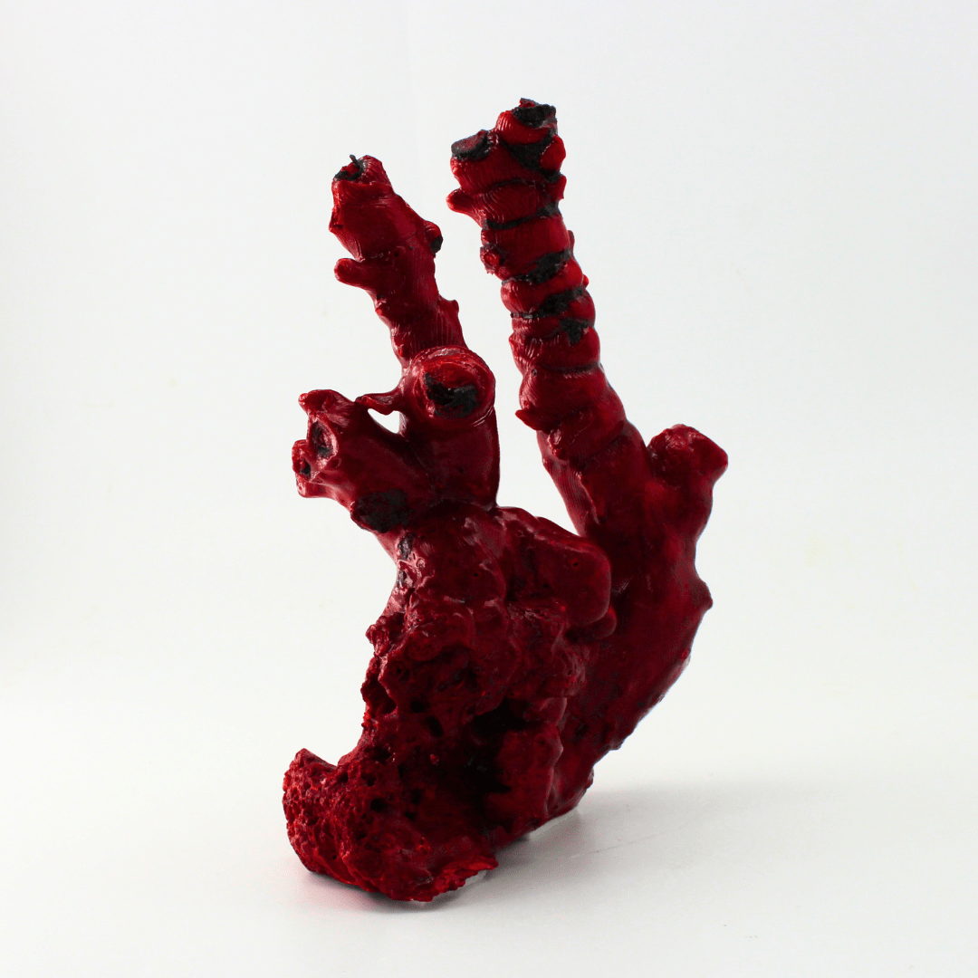 Coral Colour Changing Deepsea 388 Natural Mineral Specimen Fine Collectable Cabinet Display Piece Geological Interest