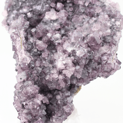 Fluorite a forma d'Africa, Nortumbria 2471, campione minerale naturale, pregiato pezzo da collezione per vetrina, interesse geologico