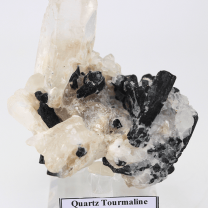 Quarz Turmalin Natürlich Terminiert Himalaya 268 Natürliches Mineralienexemplar Feines Sammlerstück Vitrinenobjekt Geologisches Interesse