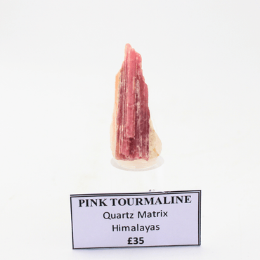 Pink Tourmaline Quartz Matrix Himalayas 18 Natural Mineral Specimen Fine Collectable Cabinet Display Piece Geological Interest