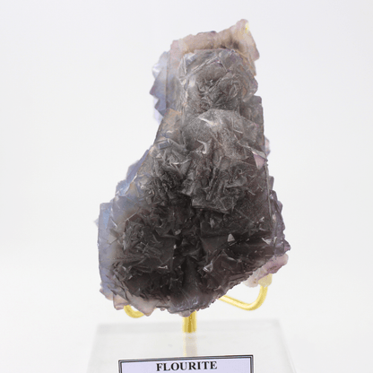 Flourit natürlich terminiert Himalaya 518 natürliches Mineralien-Exemplar feines Sammlerstück Vitrinenobjekt geologisches Interesse