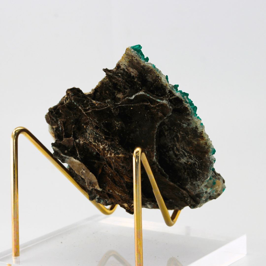 Dioptase Crystal Naturally Terminated Namibia Africa 215g
