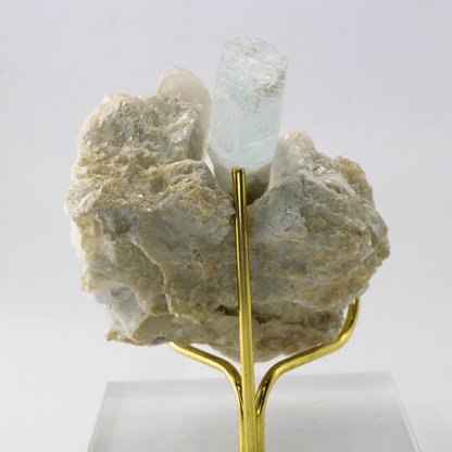 Mineral sample on a gold stand against a white background