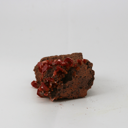 Vanadinite Naturally Terminated Morroco 50 Natural Mineral Specimen Fine Collectable Cabinet Display Piece Geological Interest