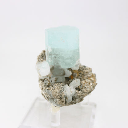 Aquamarin Natürlich Terminierte Himalaya 348 Natürliches Mineralien-Exemplar Feines Sammlerstück für die Vitrine Geologisches Interesse