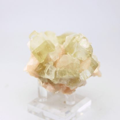 Fluorit auf rosa Stilbit, Gastein, Österreich, 368 – Natürliches Mineralienexemplar, feines Sammlerstück für Vitrinen, geologisches Interesse