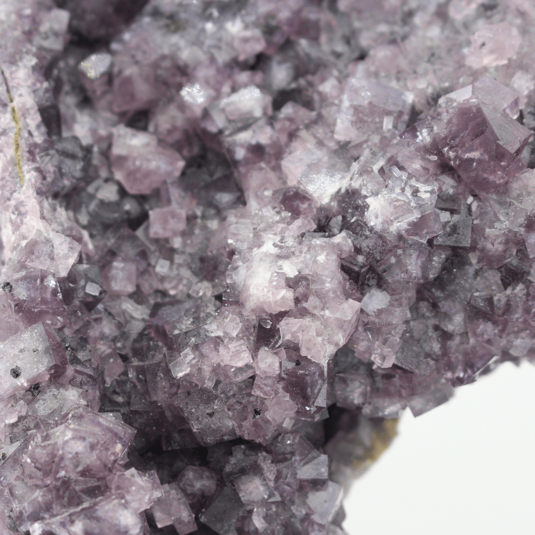 Flourite Africa Shaped Nortumbria 2471 Natural Mineral Specimen Fine Collectable Cabinet Display Piece Geological Interest