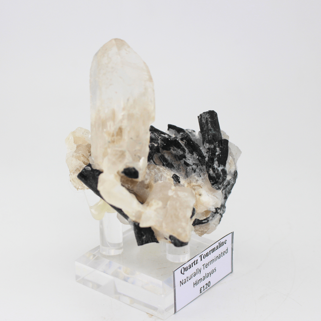 Quartz Tourmaline Naturally Terminated Himalayas 268 Natural Mineral Specimen Fine Collectable Cabinet Display Piece Geological Interest