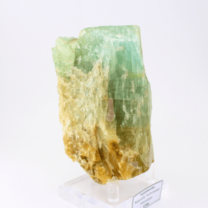 Aquamarin natürlich beendet Himalaya 1590 Naturmineralienmuster Feines Sammelstück Vitrinenstück Geologisches Interesse