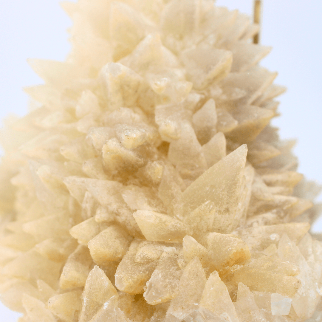 Dog Tooth Calcite Naturally Terminated Himalayas 3176g