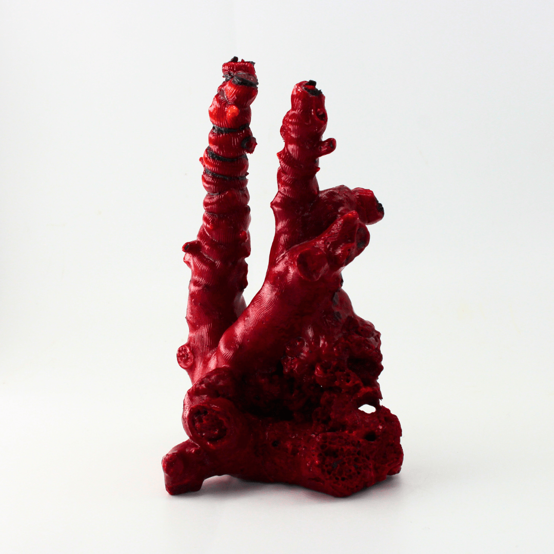 Coral Colour Changing Deepsea 388g