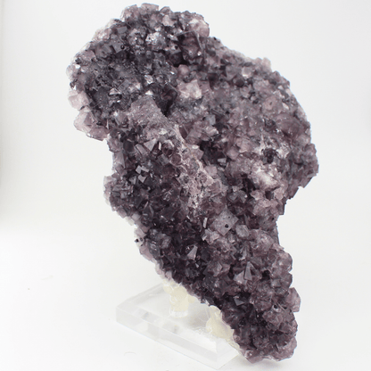 Fluorite a forma d'Africa, Nortumbria 2471, campione minerale naturale, pregiato pezzo da collezione per vetrina, interesse geologico