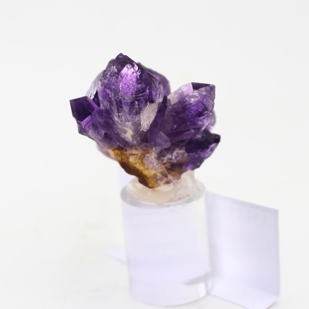 Amethyst Cluster Naturally Terminated Gastein Austria 32 Natural Mineral Specimen Fine Collectable Cabinet Display Piece Geological Interest