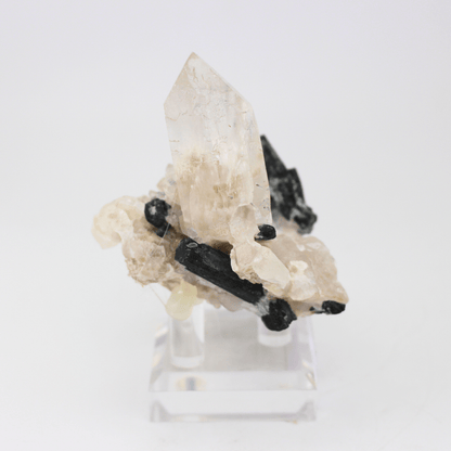 Quarz Turmalin Natürlich Terminiert Himalaya 268 Natürliches Mineralienexemplar Feines Sammlerstück Vitrinenobjekt Geologisches Interesse
