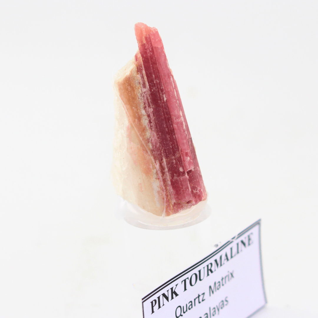 Pink Tourmaline Quartz Matrix Himalayas 18 Natural Mineral Specimen Fine Collectable Cabinet Display Piece Geological Interest