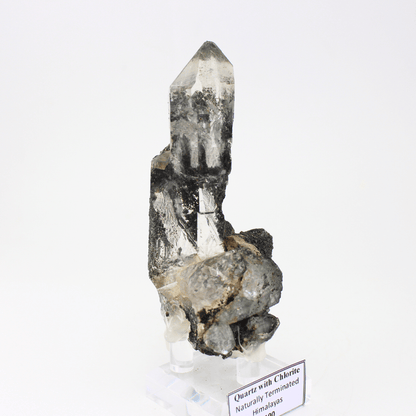 Quarz mit Chlorit, natürlich terminiert, Himalaya, 324, natürliches Mineralienmuster, feines Sammlerstück für Vitrine, geologisches Interesse